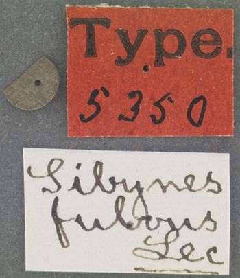 Media type: image;   Entomology 5350 Aspect: labels